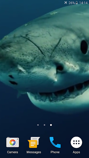 Shark 4K Live Wallpaper Screenshot 3