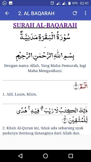 Al-Quran MELAYU Pro Screenshot 3