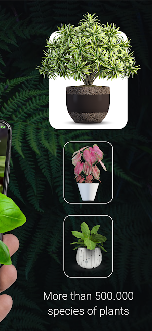 Plant ID - Plant Identification - PictureThis Screenshot 1