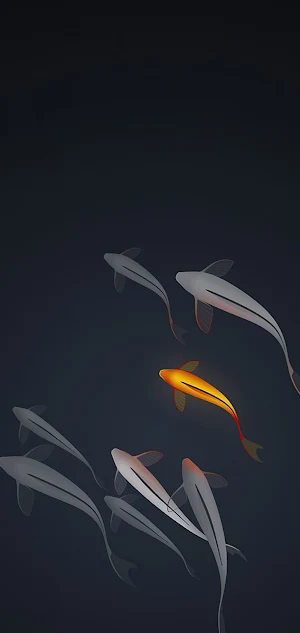 Blackify: Black Wallpapers Screenshot 3