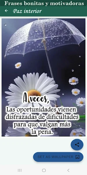 Frases bonitas y motivadoras Screenshot 1