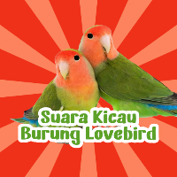 Kicau Burung Lovebird Mp3