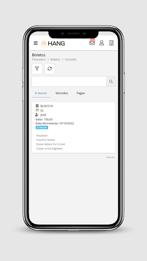 Hang Administradora Screenshot 2