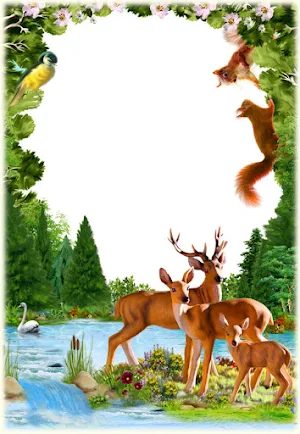 Animal Photo Frames Screenshot 1