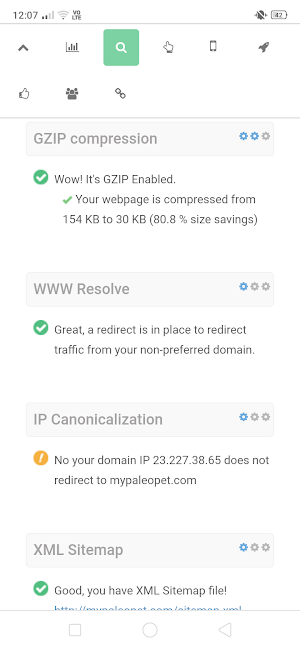 SEO Auditor Screenshot 3