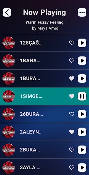 Turkish songs | 2025 offline Screenshot 0