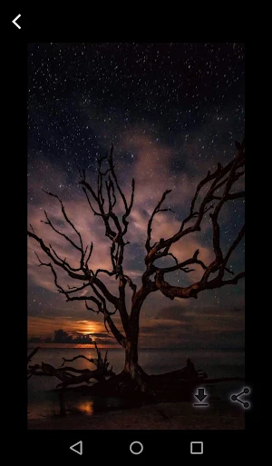 Nature wallpapers android HD Screenshot 1