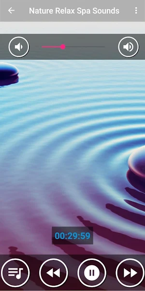 Relaxing Spa Music : Massage Music Screenshot 0