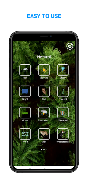 Natural Sounds Screenshot 1