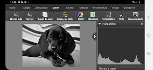 PhotoPad, editor de fotografías Screenshot 2