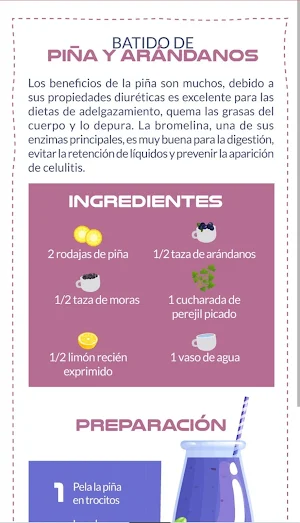 Batidos para Adelgazar Screenshot 3