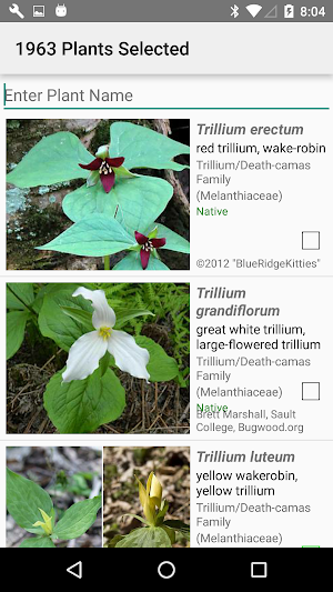 Great Smoky Mountains Wildflowers Screenshot 1