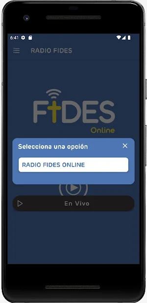 Radio Fides Online Screenshot 2