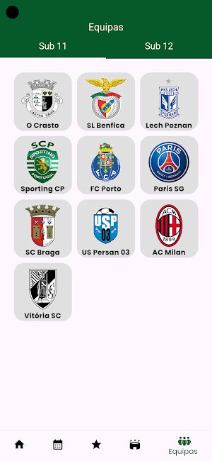 Torneio O Coelho Verde Screenshot 3