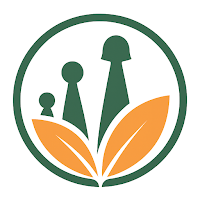 Labs Kiddies Haven
