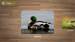 Bird Puzzle Games Screenshot 1