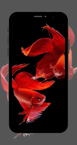 Wallpaper Background Screenshot 1