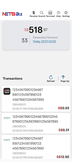 NETSBiz 2.0 Screenshot 1