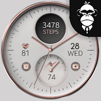 White Rose Gold watch face