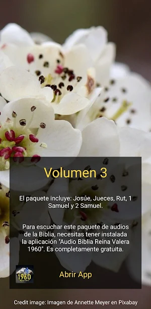 Pack3 Lectura Bíblica Screenshot 1