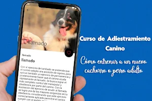 Curso de Adiestramiento Canino Screenshot 1