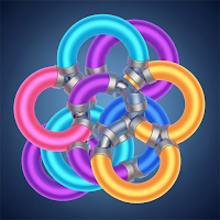 Ring Twist Puzzle
