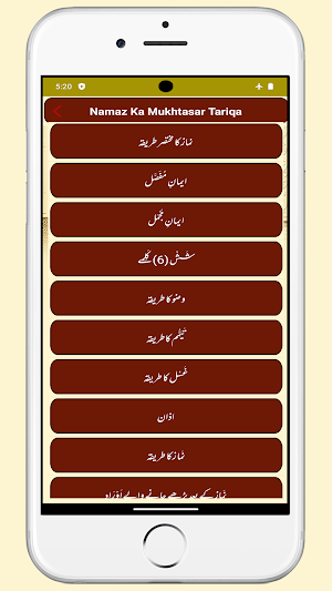 Namaz Ka Mukhtasar Tariqa Screenshot 3