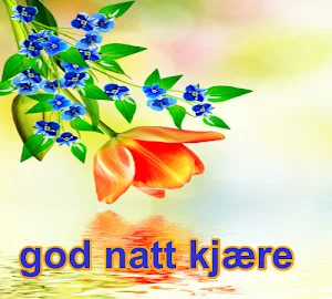 god natt Screenshot 3