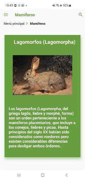 Animales. Zoogalaxy Screenshot 0