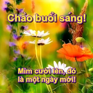 Chào buổi sáng! Screenshot 0