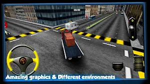 Transporter 3D PRO Screenshot 2