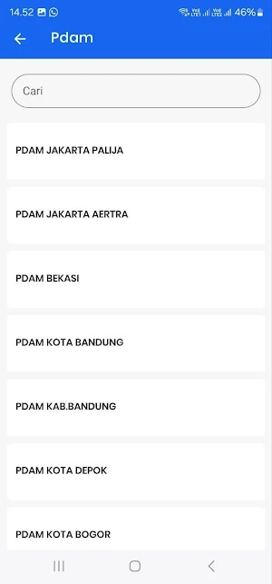 King Pulsa Screenshot 3