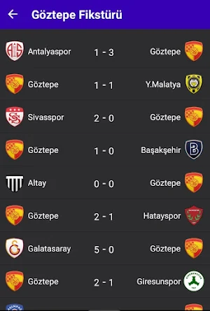 Türkiye Futbol Ligi Simülasyon Screenshot 3