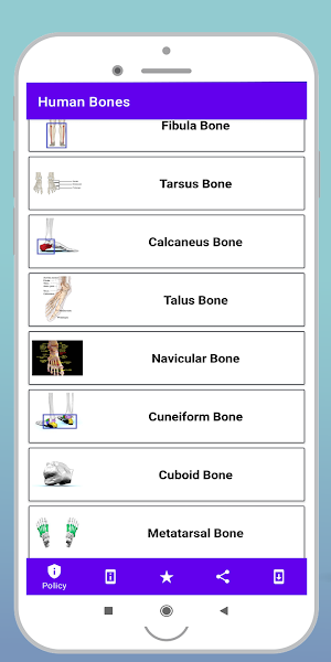 Human Bones Screenshot 3