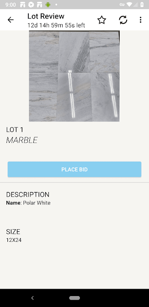 USA Stone Auction Screenshot 2