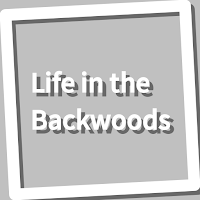 Book, Life in the Backwoods