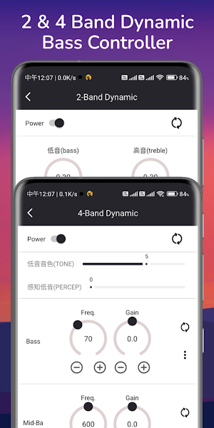 RocoPlayer - Advanced DSP Screenshot 3