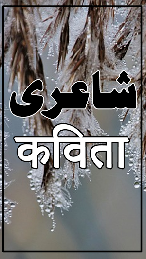 Urdu/Hindi Shayari Status Screenshot 1