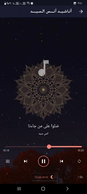 انس السيد بدون نت اغاني اناشيد Screenshot 1