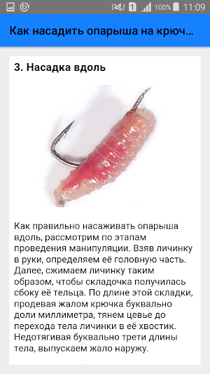 Как насадить опарыша на крючок. Советы Screenshot 3