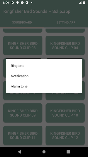 Kingfisher Bird Sound Collections ~ Sclip.app Screenshot 3