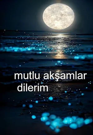 mutlu akşamlar, iyi geceler Screenshot 3