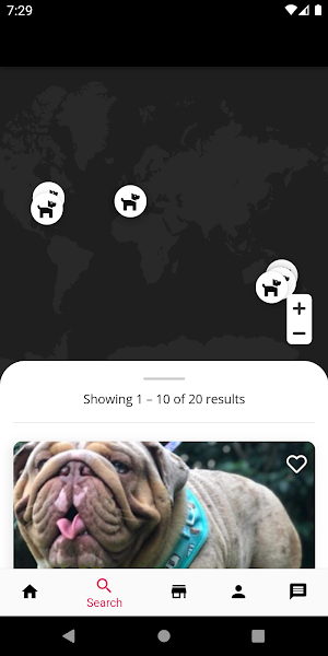 Stud Dog Screenshot 1