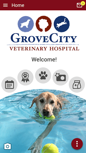 GroveCityVet Screenshot 0