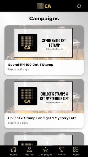 CA Membership Screenshot 2
