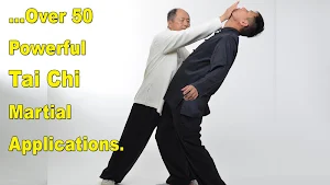 Tai Chi Martial Applications Screenshot 2