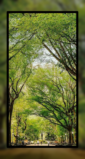 Nature Parks Wallpaper HD 4K Screenshot 1