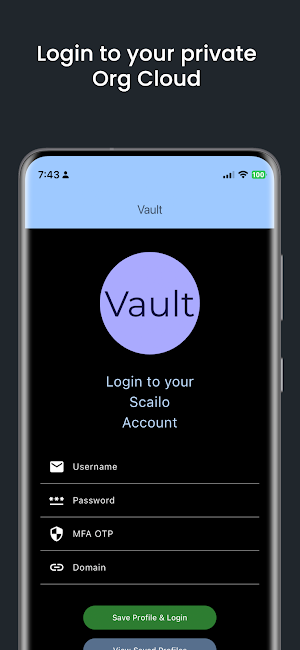 Vault Screenshot 1
