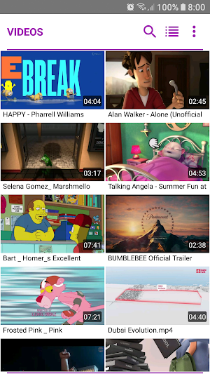 Secure Video Player Screenshot 2
