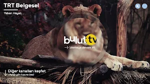 Bulut TV - IPTV (Türkiye) Screenshot 2